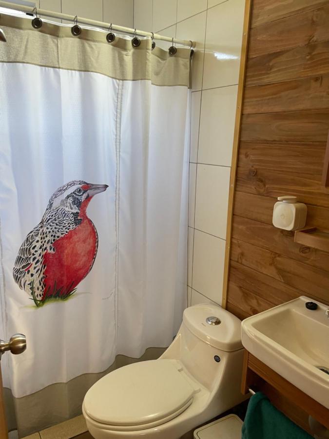 Cabana Loica Villa Pucón Exteriör bild